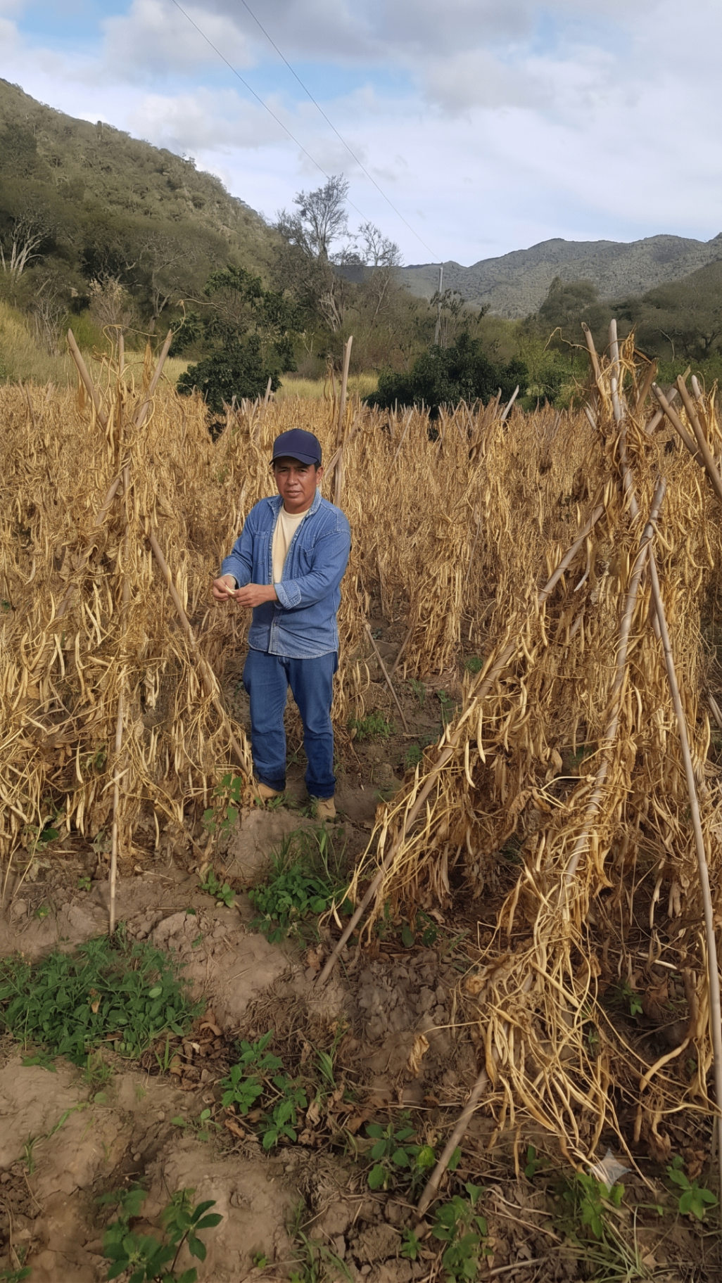 Productor boliviano en su campo